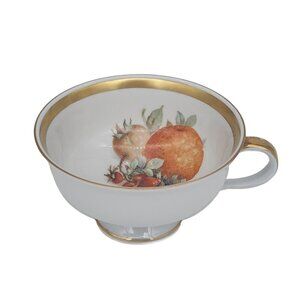 Jaeger Co. Bavaria Footed Teacup Orchard Orange Berries Cup Only VTG